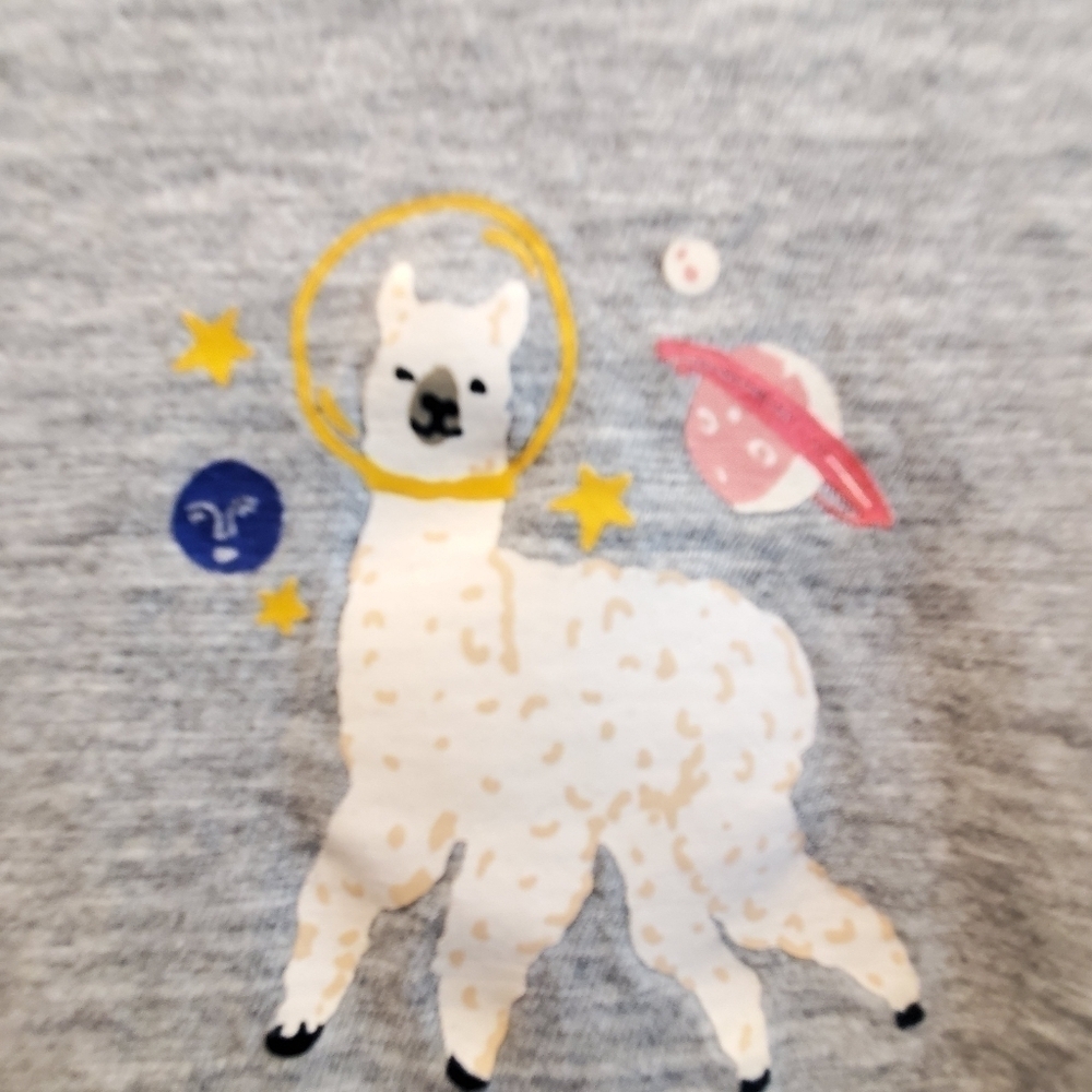 Old navy grey short sleeve tshirt. Space Llama sz med. - Picture 2 of 4